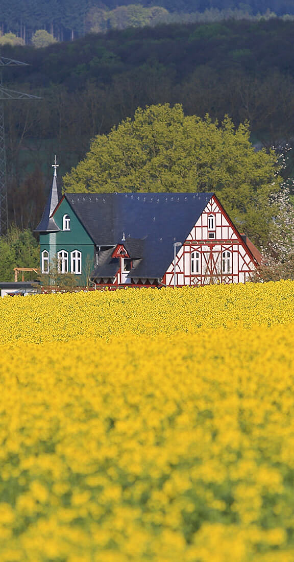 Außenansicht vom Restaurant Waldschlösschen